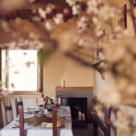 Buccia Nera Chiassa Superiore